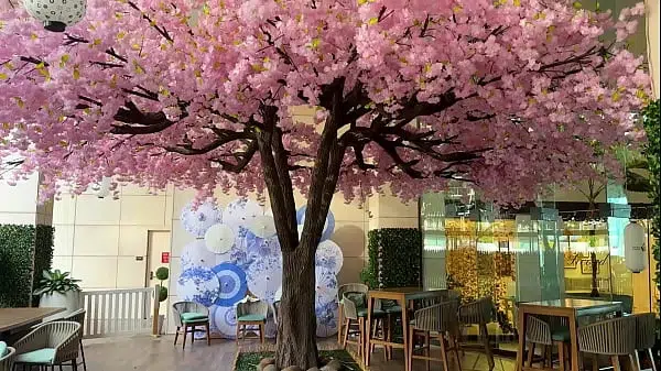 Our experiment with ultraviolet light