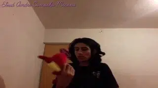 Tan Grandote Y Juegando Con Monos 🐘