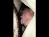 Amateur Cock-Sucking Extravaganza