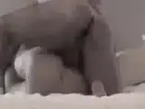 Bear Daddy Amateur Video