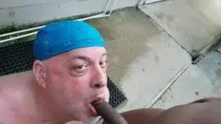 Bear gets pissed on by BBC