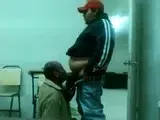 Fat Daddy Bear Sucks Chub