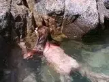 Sexy Siren Appears in the Water for a Public Blowjob